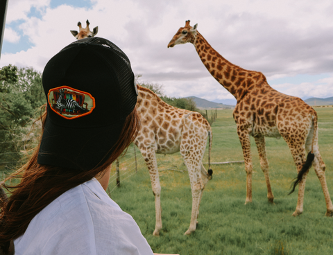 Trucker Caps: Why They’re Still a Fashion Staple