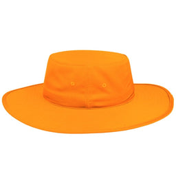 Collapsible Cricketer