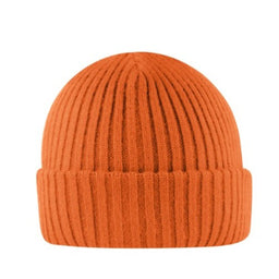 Cuffed Beanie