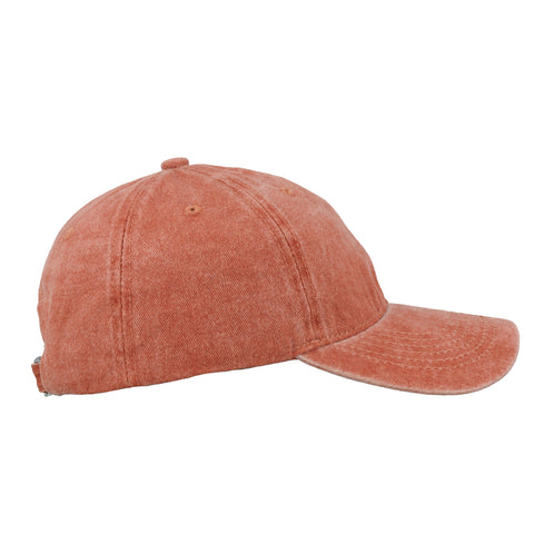 Promo Washed 6 Panel